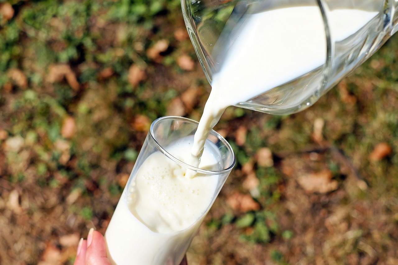 Le lait dans notre alimentation